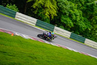cadwell-no-limits-trackday;cadwell-park;cadwell-park-photographs;cadwell-trackday-photographs;enduro-digital-images;event-digital-images;eventdigitalimages;no-limits-trackdays;peter-wileman-photography;racing-digital-images;trackday-digital-images;trackday-photos